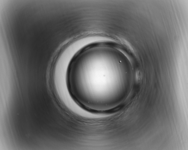X0000099960684200805231341