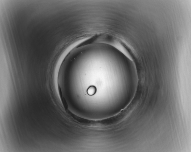 X0000099960685200805231341