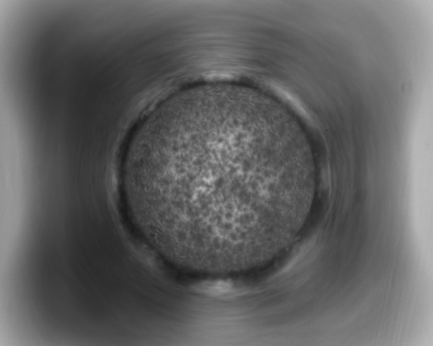 X0000099960687200805231341