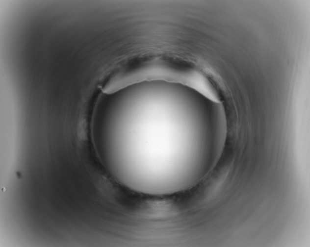 X0000099960689200805231341