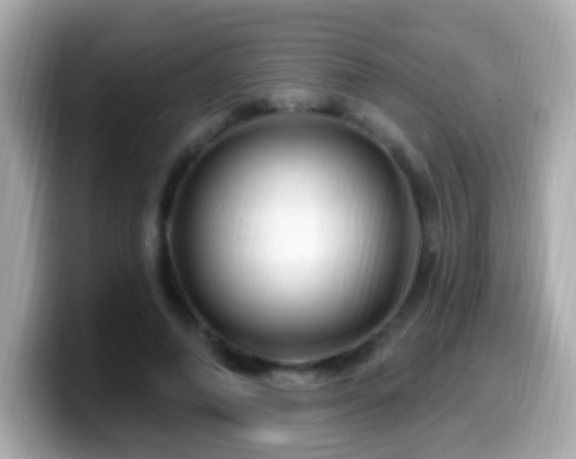 X0000099960690200805231341