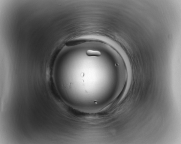 X0000099960693200805231341