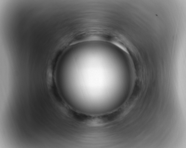 X0000099960696200805231341
