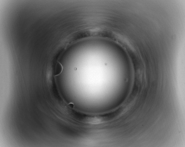X0000099960698200805231341