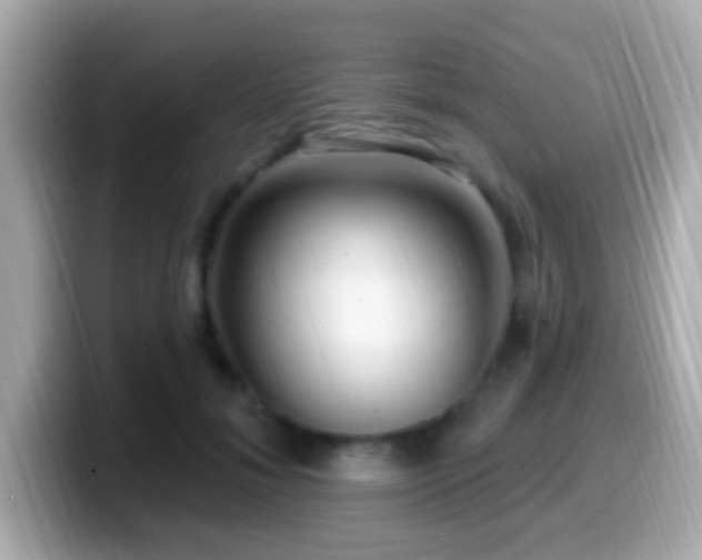 X0000099960700200805231341