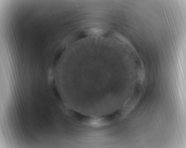X0000099960701200805231341