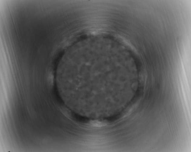 X0000099960703200805231341