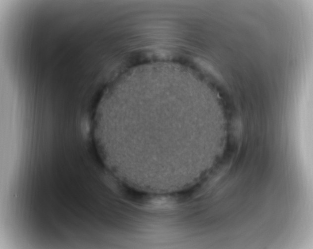 X0000099960709200805231341