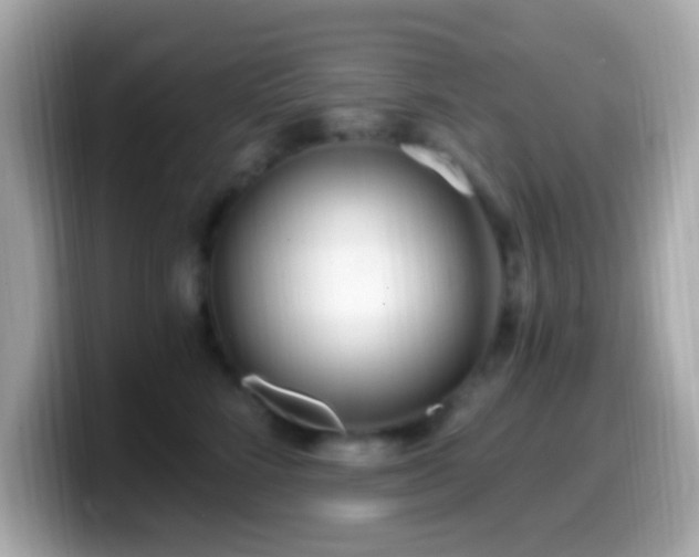 X0000099960712200805231341
