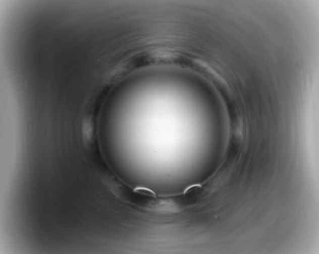X0000099960715200805231341