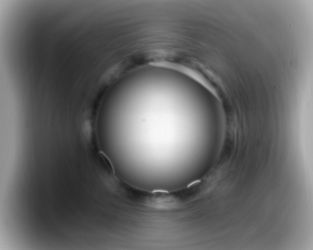 X0000099960716200805231341