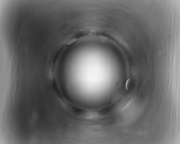 X0000099960719200805231341