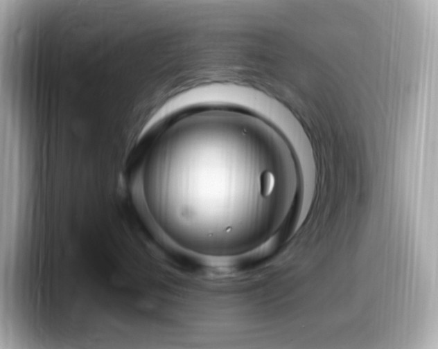 X0000099960720200805231341