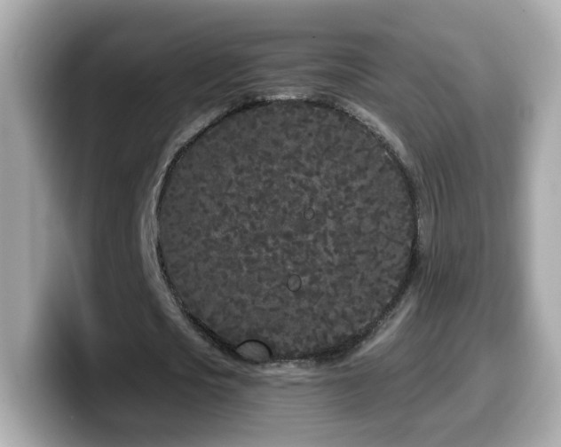 X0000099960721200805231340
