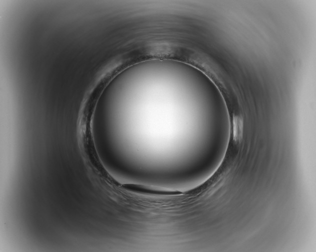 X0000099960723200805231340