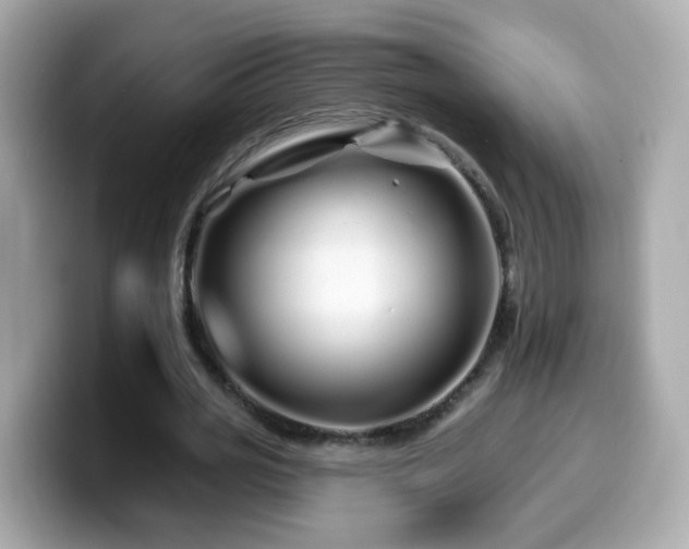 X0000099960725200805231340