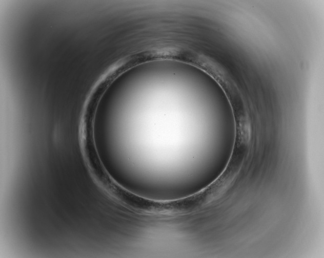 X0000099960726200805231340