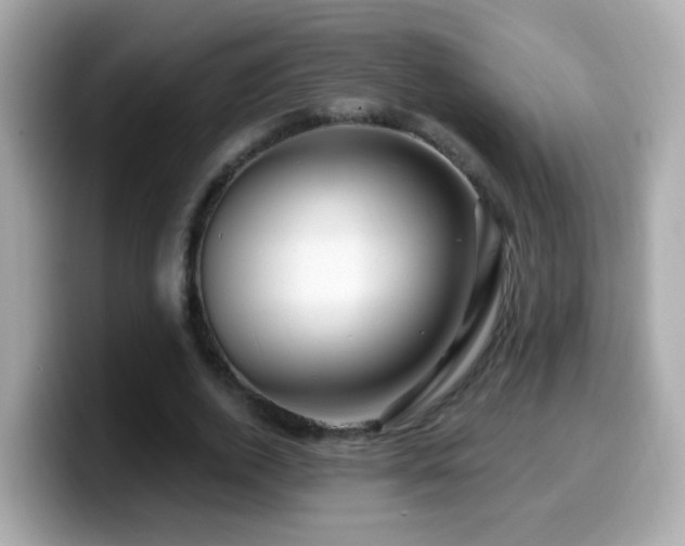 X0000099960728200805231340