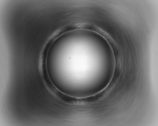 X0000099960730200805231340