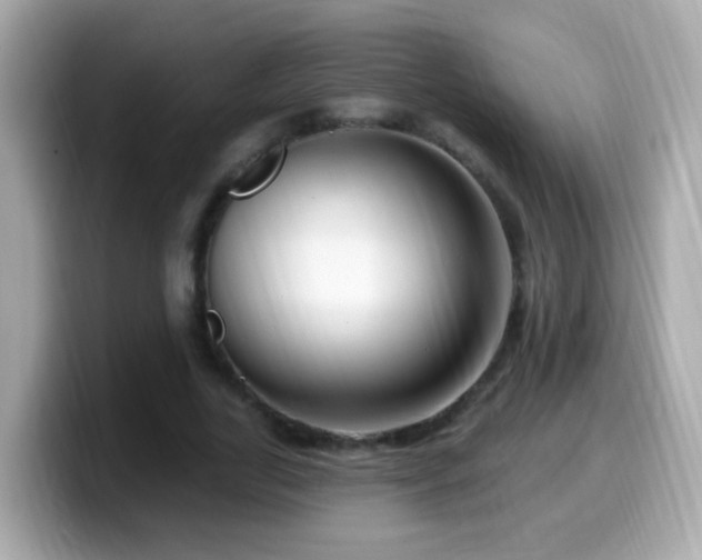 X0000099960731200805231340