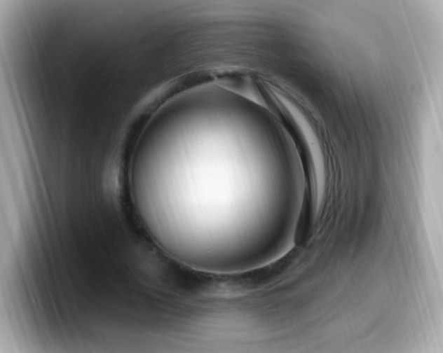 X0000099960732200805231340