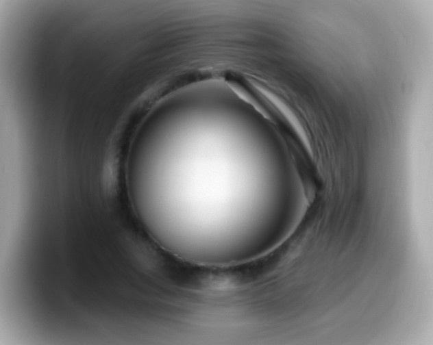 X0000099960735200805231341