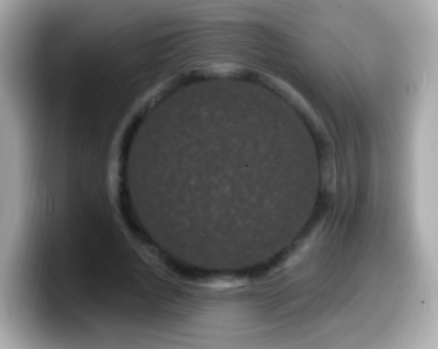 X0000099960736200805231341
