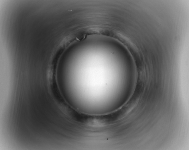 X0000099960739200805231341