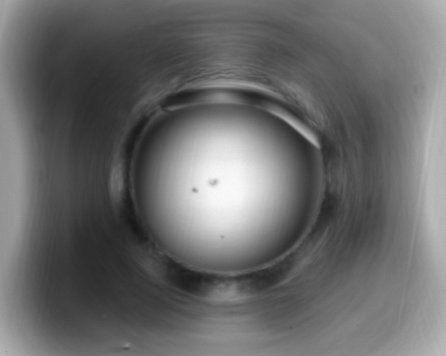 X0000099960740200805231341