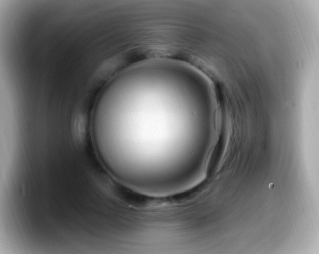 X0000099960742200805231341