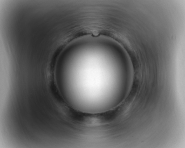 X0000099960743200805231341