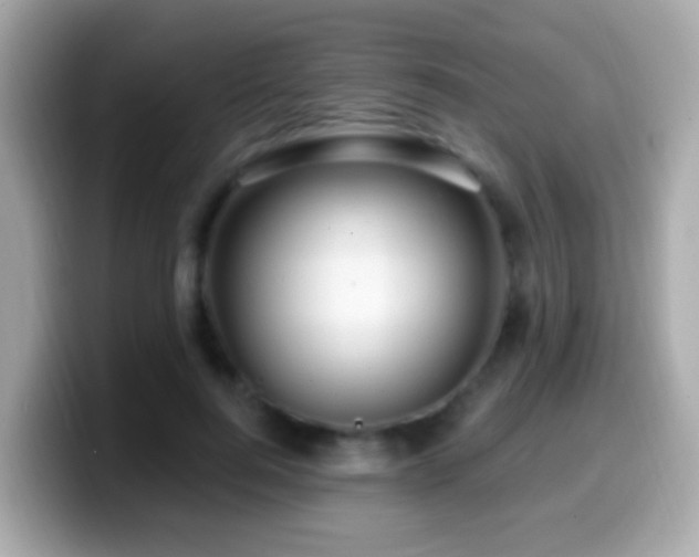 X0000099960744200805231341