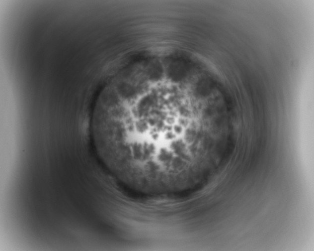 X0000099960745200805231341