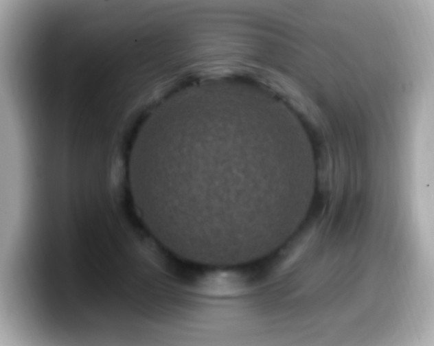X0000099960748200805231341
