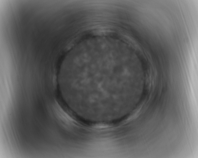 X0000099960749200805231341