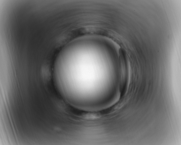 X0000099960751200805231341