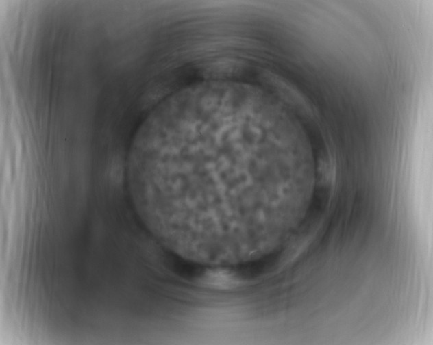X0000099960753200805231341
