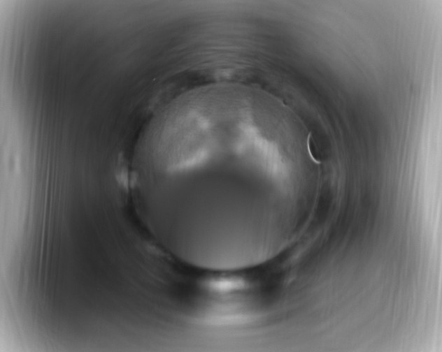 X0000099960754200805231341