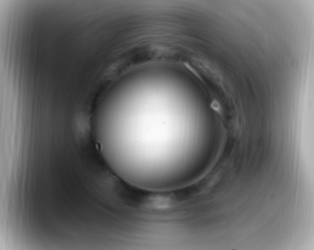 X0000099960756200805231341