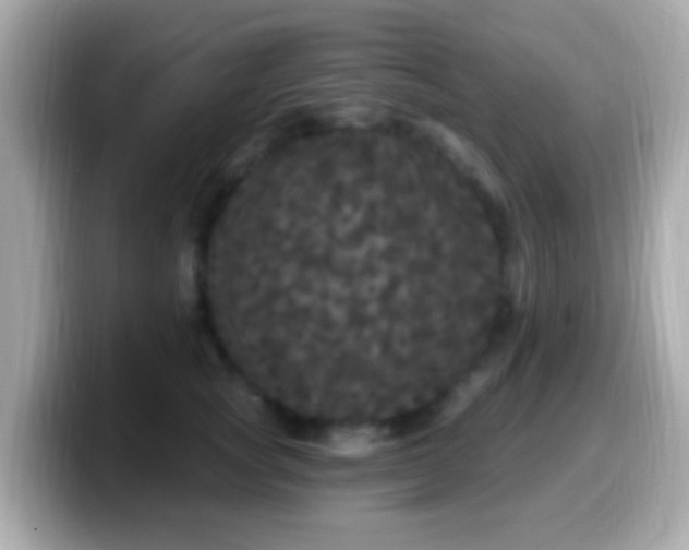 X0000099960757200805231341