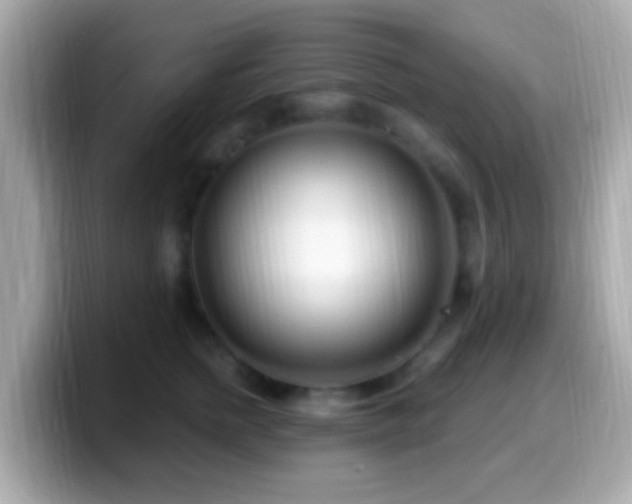 X0000099960758200805231341