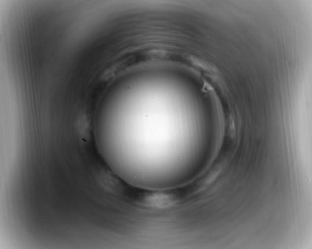 X0000099960759200805231341