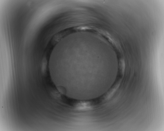 X0000099960760200805231341