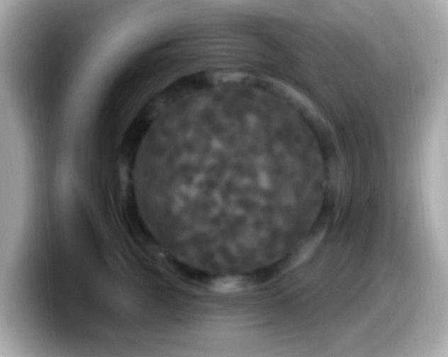 X0000099960761200805231341