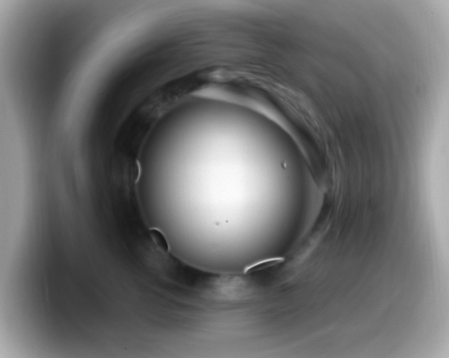 X0000099960762200805231341