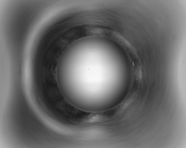 X0000099960764200805231341