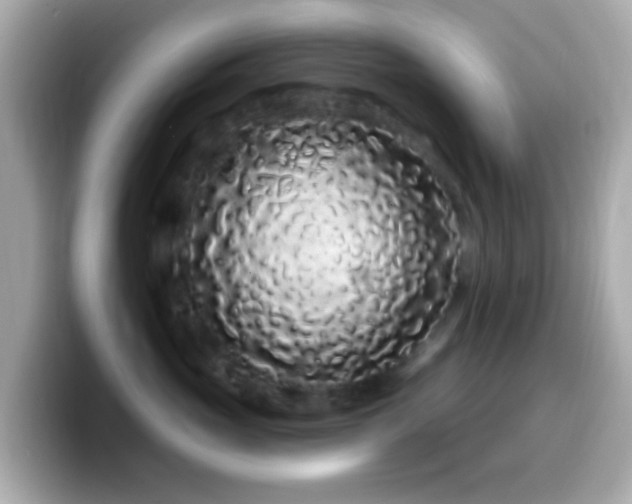 X0000099960765200805231341