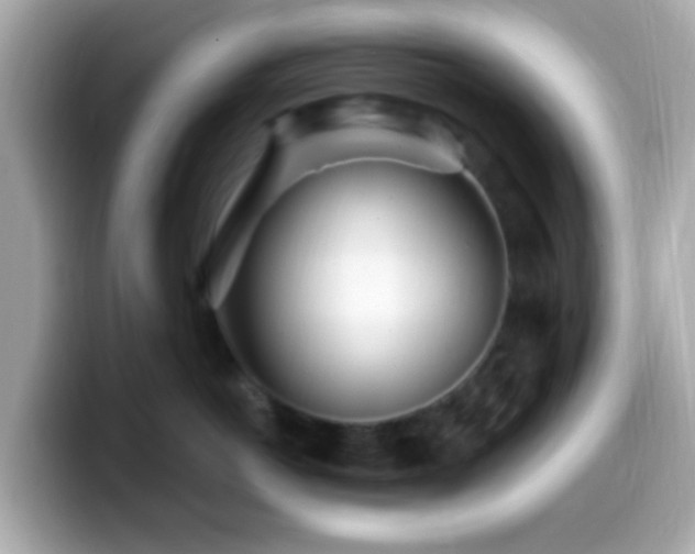 X0000099960766200805231341