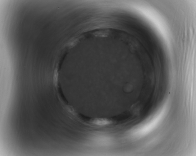 X0000099960767200805231341