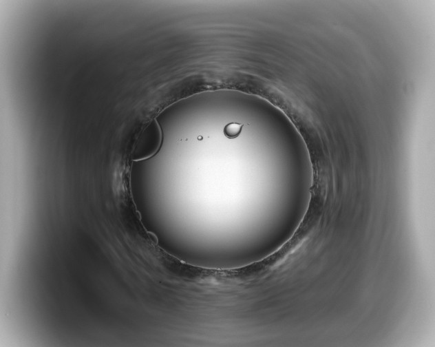 X0000099960770200805231340